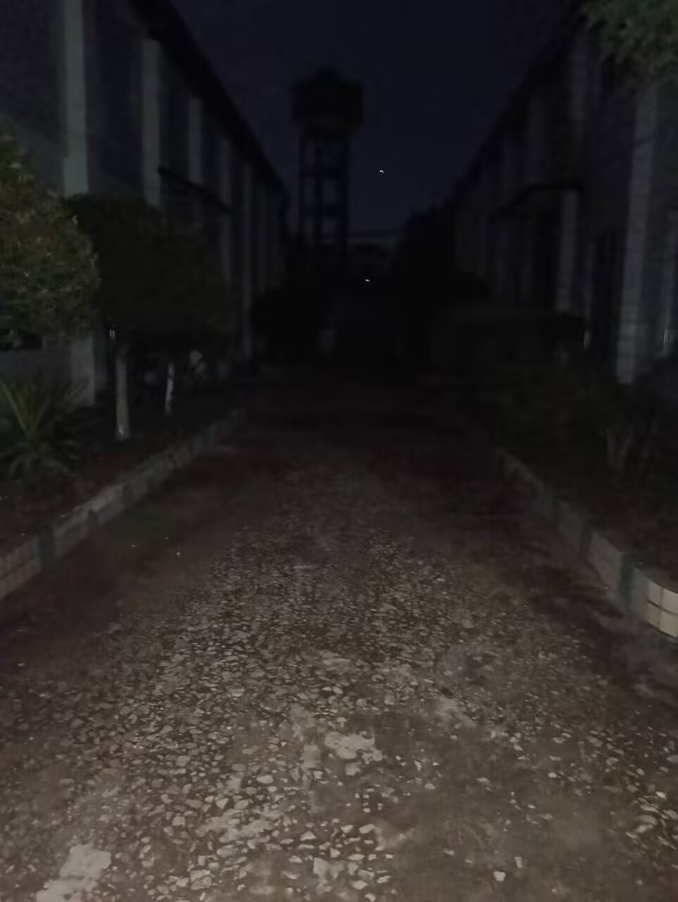 频道助手