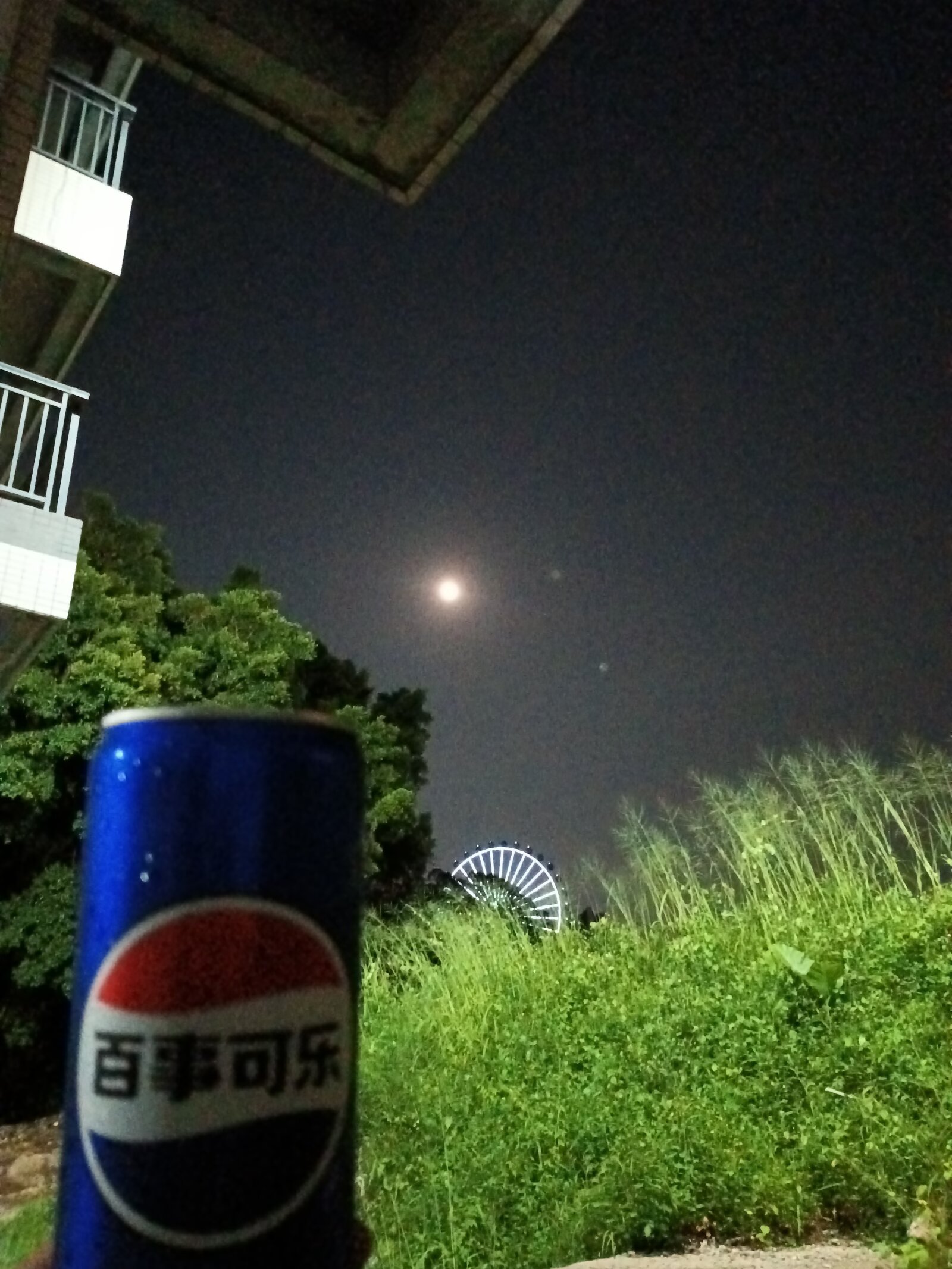 鸢秋风风风